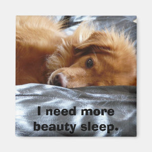 Sleepy Eyed Dog Magneet