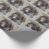 Sleepy Eyed German Shorthaired Pointer Cadeaupapier (Hoek)