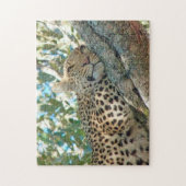 Sleepy-Eyed Leopard Legpuzzel (Verticaal)