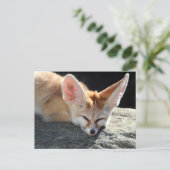 Sleepy Fennec Fox Briefkaart (Staand voorkant)