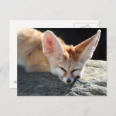 Sleepy Fennec Fox Briefkaart (Voorkant / Achterkant)