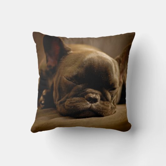 Sleepy French Bulldog Kussen (Achterkant)