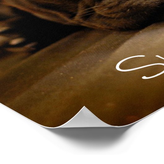 Sleepy French Bulldog Poster (Hoek)