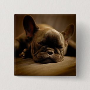 Sleepy French Bulldog Vierkante Button 5,1 Cm