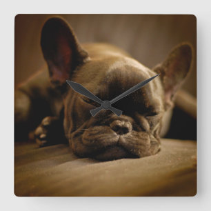 Sleepy French Bulldog Vierkante Klok