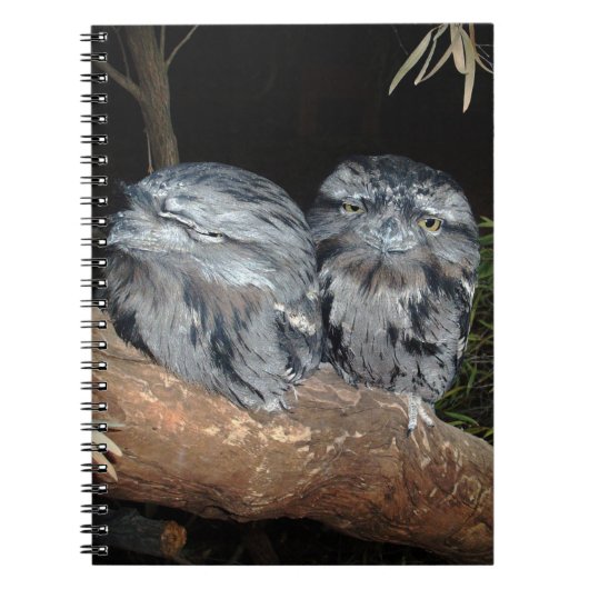 Sleepy Frogmouth Uilen, Notitieboek (Voorkant)
