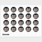 Sleepy Frogmouth Uilen, Ronde Sticker (Vel)