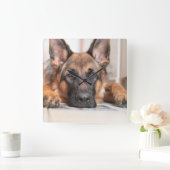 Sleepy German Shepherd Your Ewn Dog Photo Vierkante Klok (Huis)