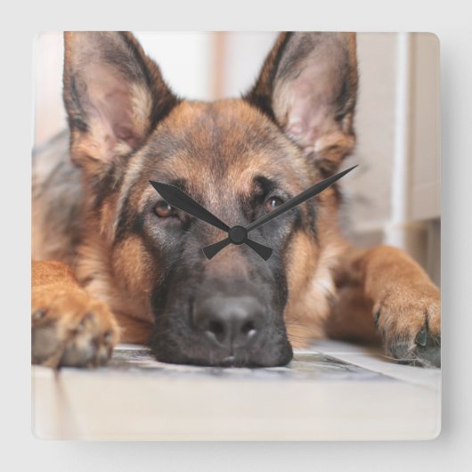 Sleepy German Shepherd Your Ewn Dog Photo Vierkante Klok (Voorkant)