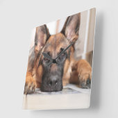 Sleepy German Shepherd Your Ewn Dog Photo Vierkante Klok (Hoek)