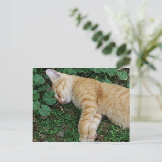 Sleepy Ginger Kitten Briefkaart (Staand voorkant)