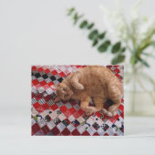 Sleepy Ginger Kitty on a red quilt Briefkaart (Staand voorkant)