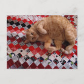 Sleepy Ginger Kitty on a red quilt Briefkaart (Voorkant)