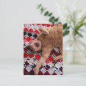 Sleepy Ginger Kitty with a big Yawn Briefkaart (Staand voorkant)