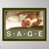 Sleepy Girl-Poster Poster (Voorkant)