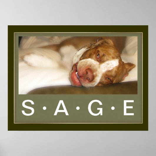 Sleepy Girl-Poster Poster (Voorkant)