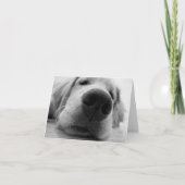 Sleepy Golden Kaart (Voorkant)