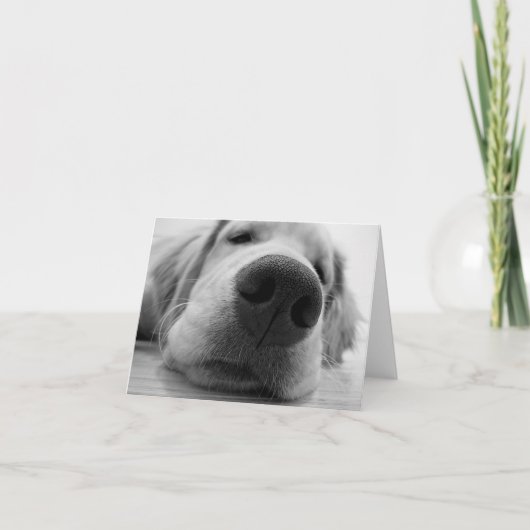 Sleepy Golden Kaart (Voorkant)