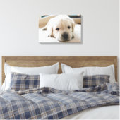Sleepy Golden Labrador Puppy Canvas Afdruk (Insitu (Slaapkamer))