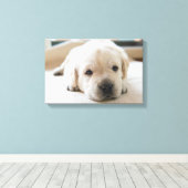 Sleepy Golden Labrador Puppy Canvas Afdruk (Insitu (Houten vloer))