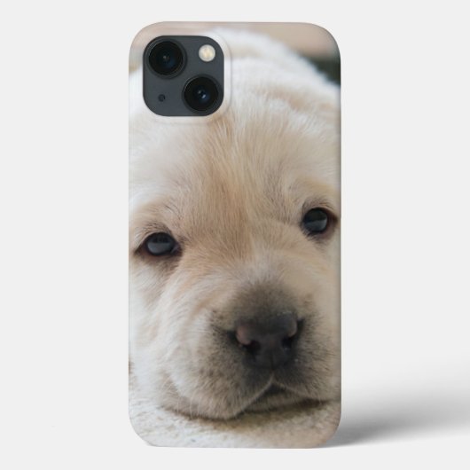 Sleepy Golden Labrador Puppy Case-Mate iPhone Case (Achterkant)