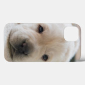 Sleepy Golden Labrador Puppy Case-Mate iPhone Case (Achterkant (horizontaal))