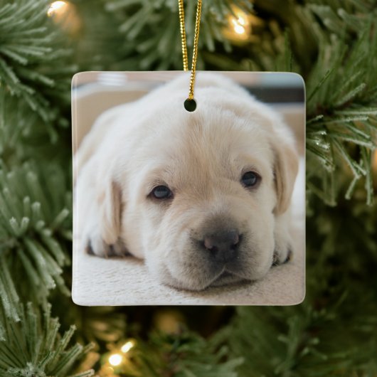Sleepy Golden Labrador Puppy Keramisch Ornament (Boom)