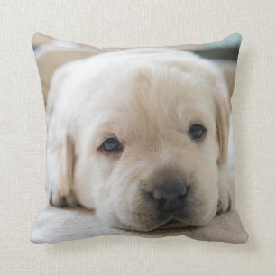 Sleepy Golden Labrador Puppy Kussen