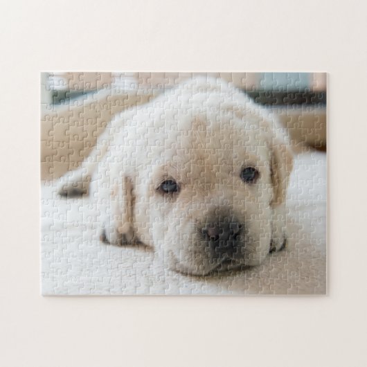 Sleepy Golden Labrador Puppy Legpuzzel (Horizontaal)