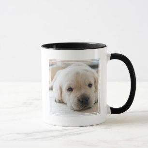 Sleepy Golden Labrador Puppy Mok