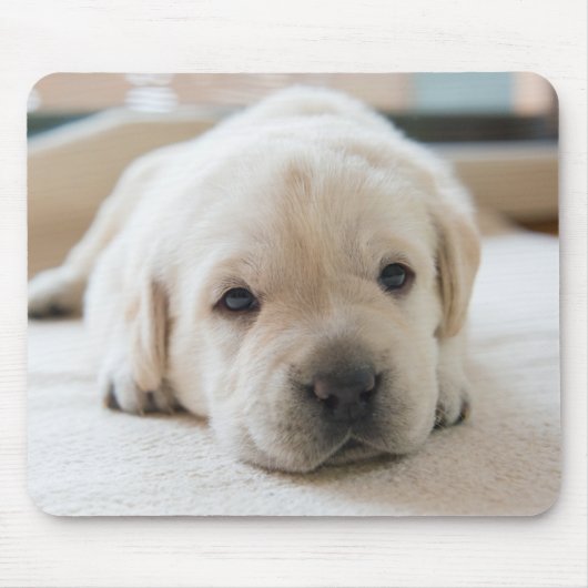 Sleepy Golden Labrador Puppy Muismat (Voorkant)