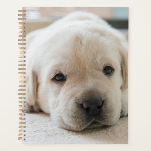 Sleepy Golden Labrador Puppy Planner (Voorkant)