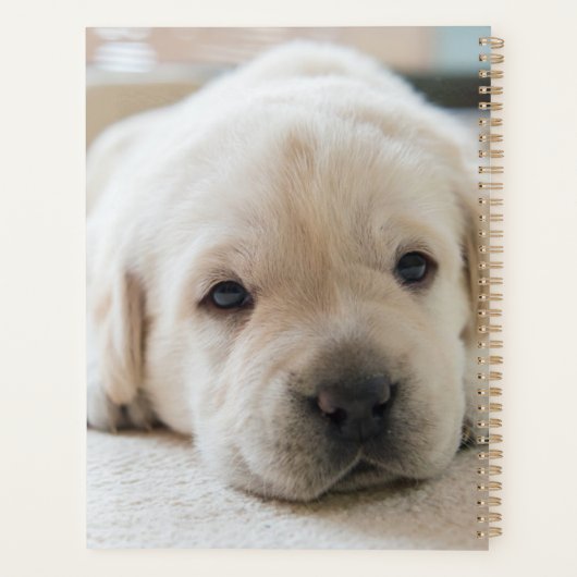 Sleepy Golden Labrador Puppy Planner (Achterkant)