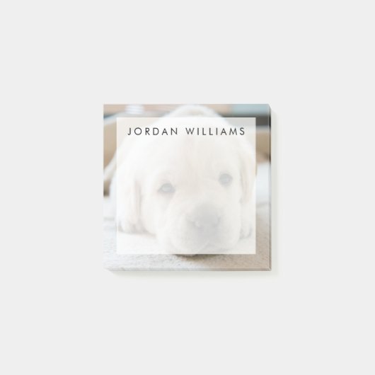 Sleepy Golden Labrador Puppy Post-it® Notes (Voorkant)