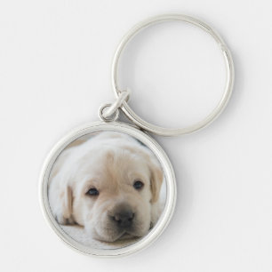 Sleepy Golden Labrador Puppy Sleutelhanger