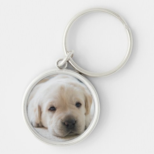 Sleepy Golden Labrador Puppy Sleutelhanger (Voorkant)