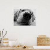 Sleepy Golden Poster (Keuken)