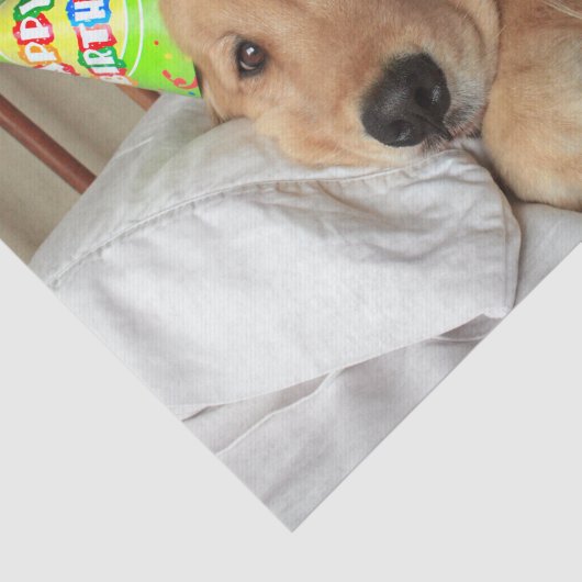 Sleepy Golden Retriever in Pajamas Birthday Tissuepapier (Detail)