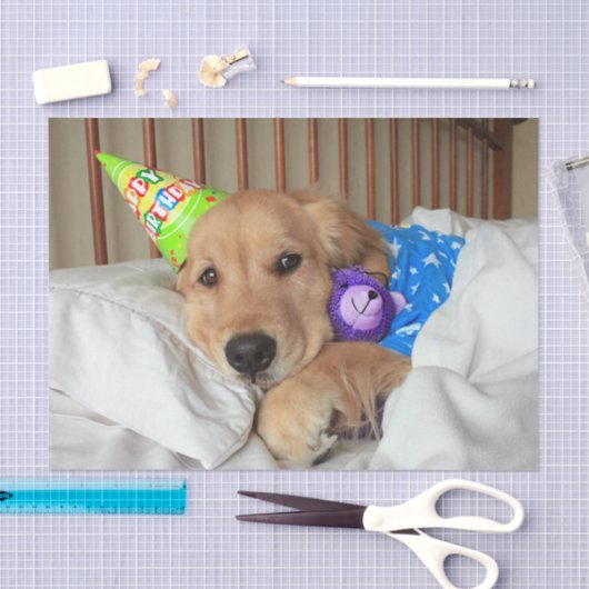 Sleepy Golden Retriever in Pajamas Birthday Tissuepapier (Craft)