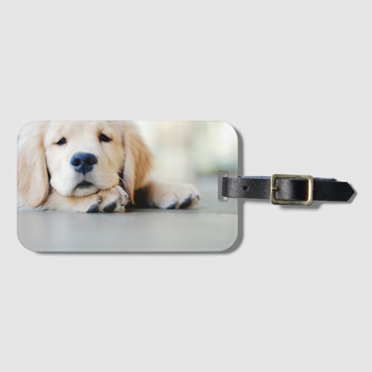 Sleepy Golden Retriever Puppy Bagagelabel (Voorkant (horizontaal))