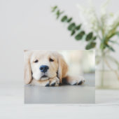 Sleepy Golden Retriever Puppy Briefkaart (Staand voorkant)