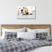 Sleepy Golden Retriever Puppy Canvas Afdruk (Insitu (Slaapkamer))