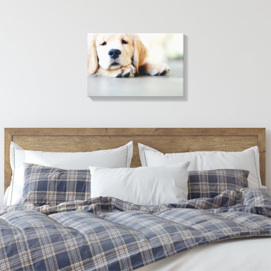 Sleepy Golden Retriever Puppy Canvas Afdruk (Insitu (Slaapkamer))