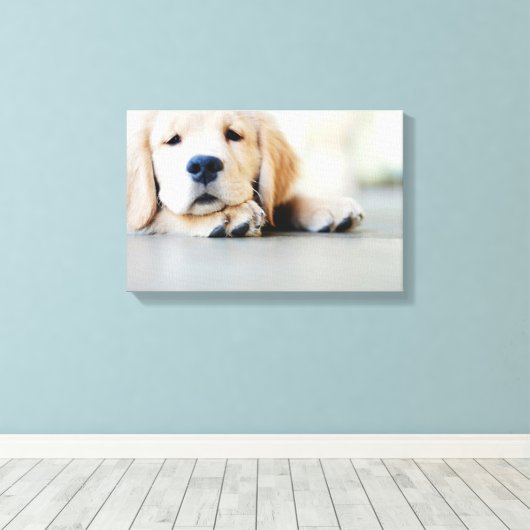 Sleepy Golden Retriever Puppy Canvas Afdruk (Insitu (Houten vloer))