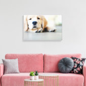 Sleepy Golden Retriever Puppy Canvas Afdruk (Insitu (Woonkamer))