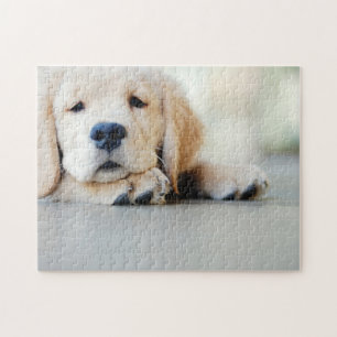 Sleepy Golden Retriever Puppy Legpuzzel