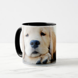Sleepy Golden Retriever Puppy Mok