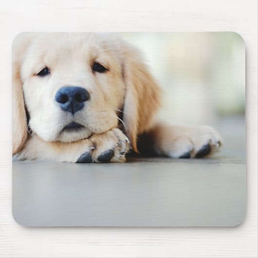 Sleepy Golden Retriever Puppy Muismat (Voorkant)