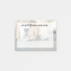Sleepy Golden Retriever Puppy Post-it® Notes