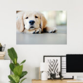 Sleepy Golden Retriever Puppy Poster (Thuiskantoor)